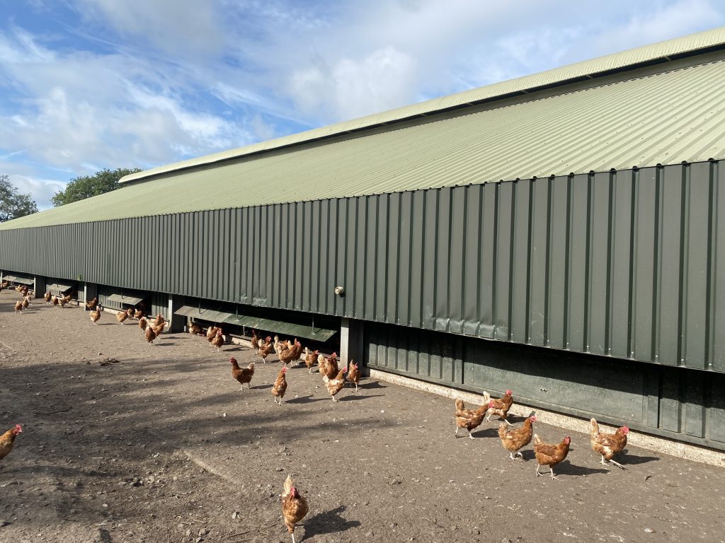 Solar panels for dairy and poultry farm operations
