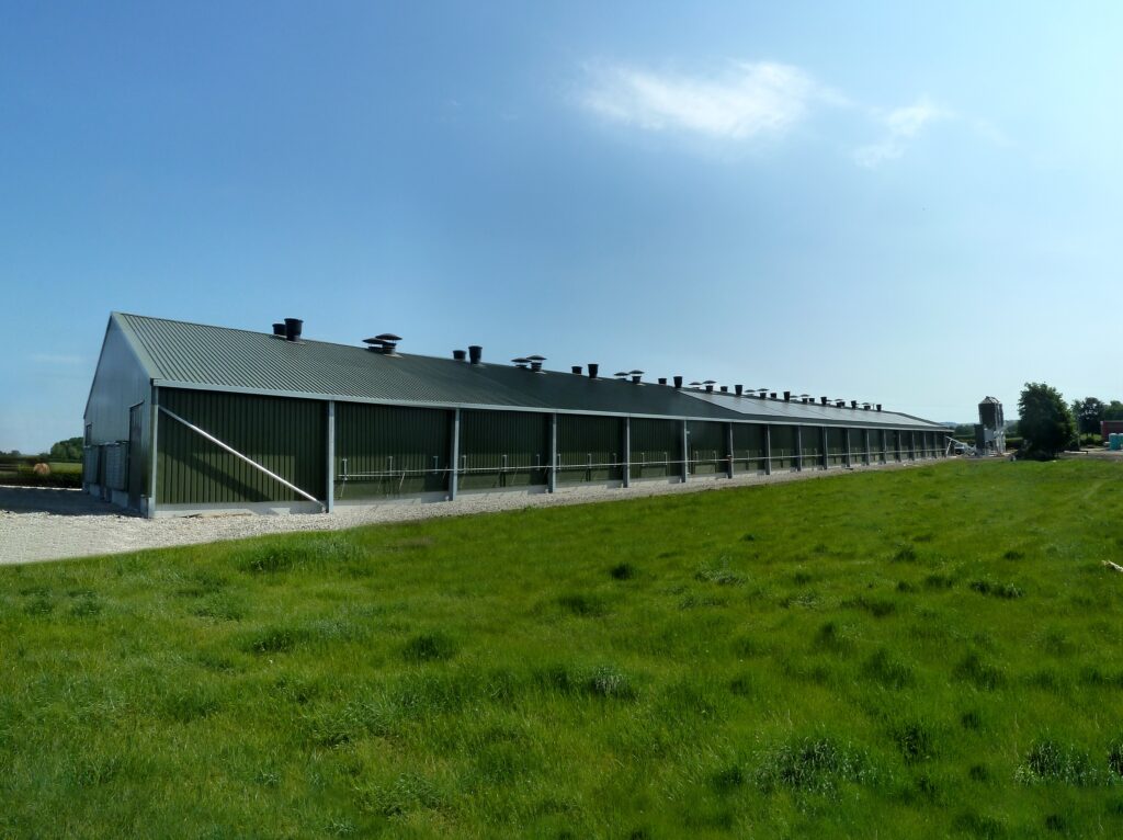 Roof-mounted solar panels powering the S J Pace micro-grid on a free-range poultry shed in East Cheshire